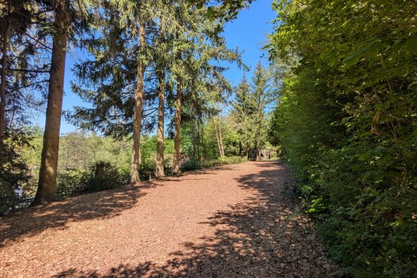 Waldplatz Panoramaansicht Waldplatz Panoramaansicht